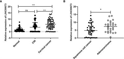 Overexpression of LINC00673 Promotes the Proliferation of Cervical Cancer Cells